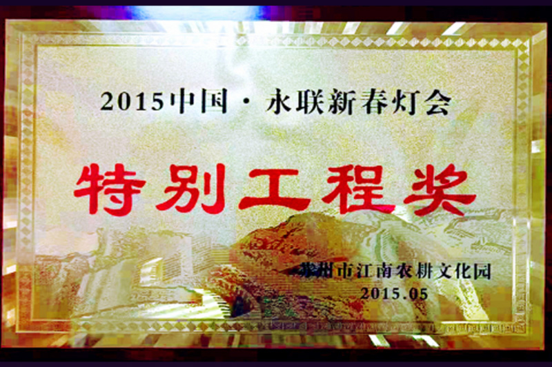 特别工程奖